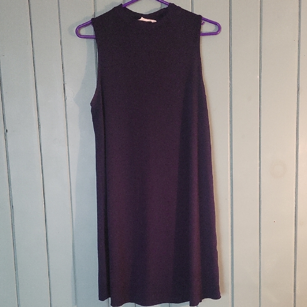 Navy Sleeveless Knee-Length Sheath Dress